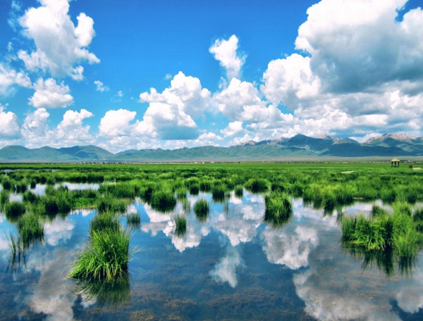 四川若尔盖草原湿地